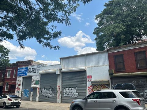265 45th Street Brooklyn NY 11220
