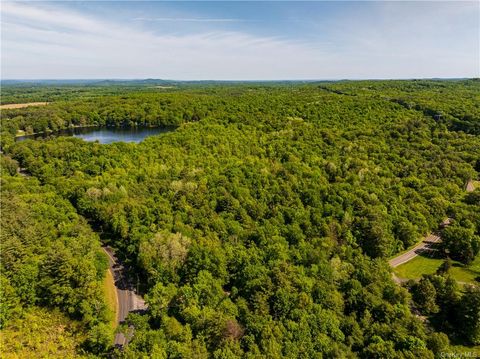 Vacant Land For Sale - 15 Snyderville<br/> Elizaville, NY 12523