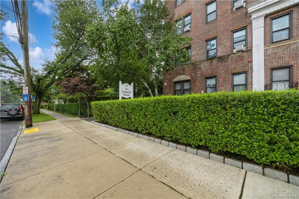 167 Centre Avenue #1J, New Rochelle, New York image 14