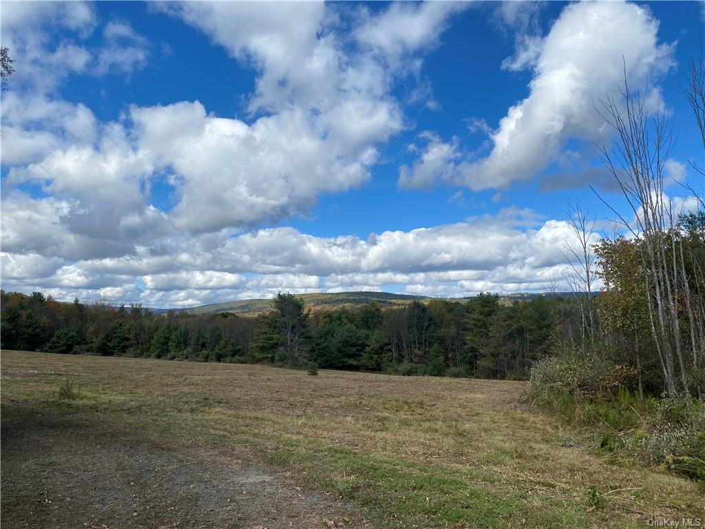 Panorama, Durham, New York image 7