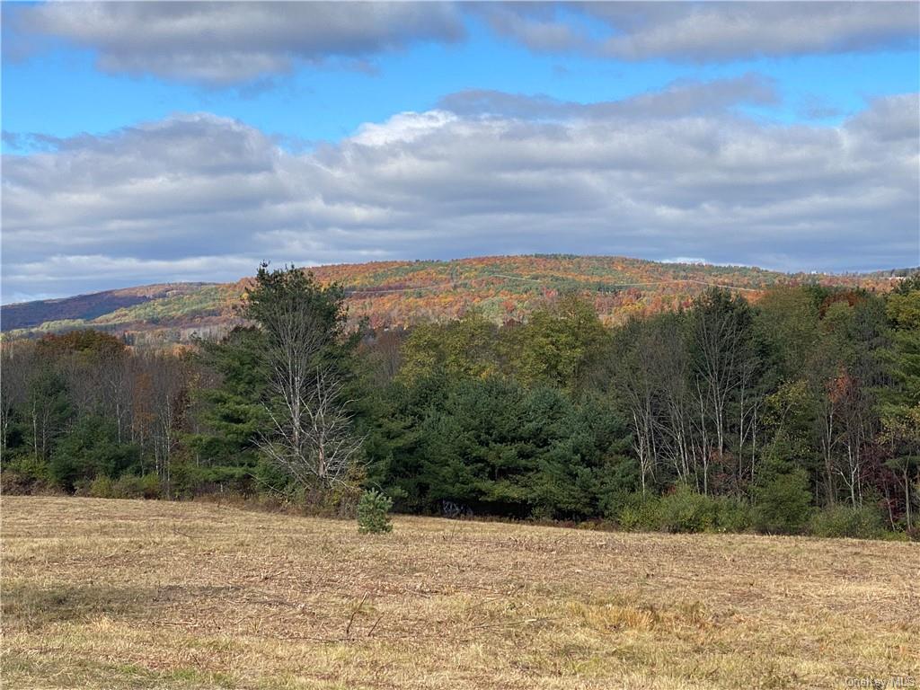 Panorama, Durham, New York image 1