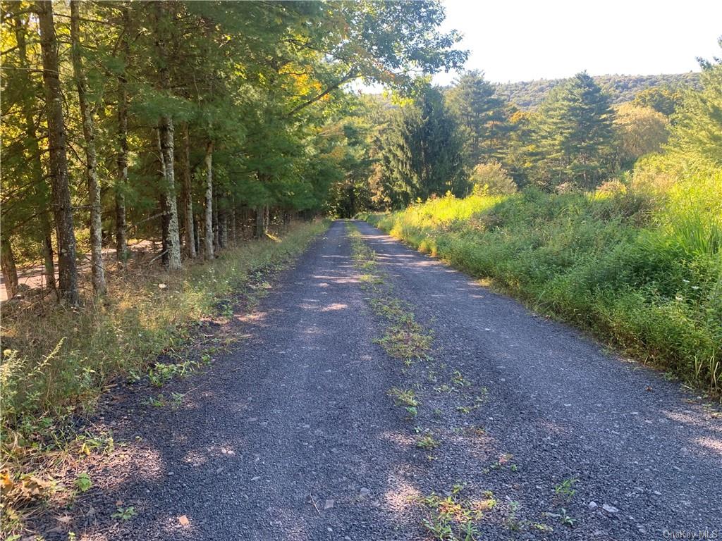 Tbd Cooper Lake Road, Bearsville, New York image 7