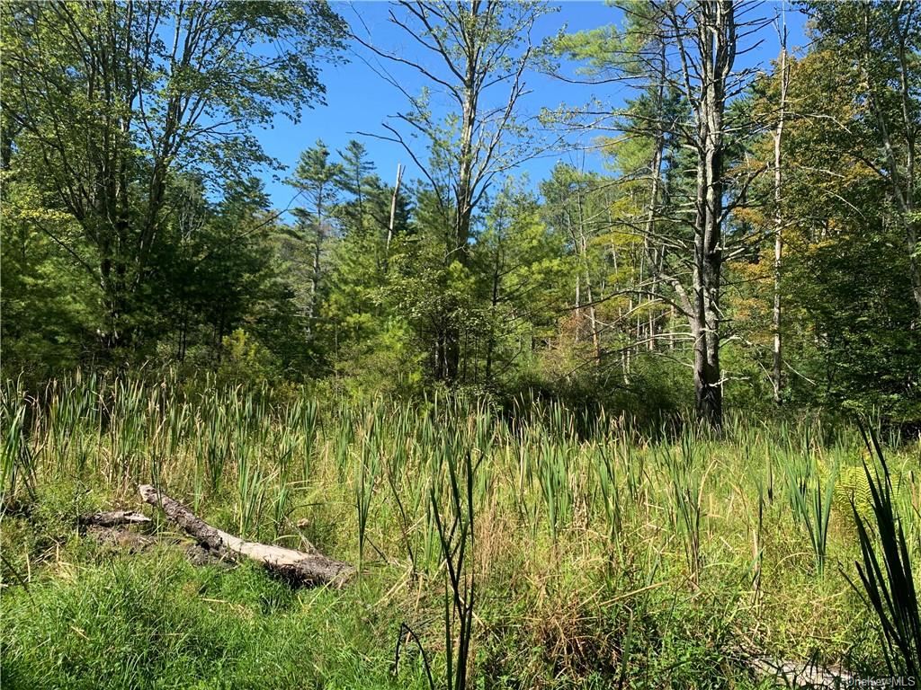 Tbd Cooper Lake Road, Bearsville, New York image 8