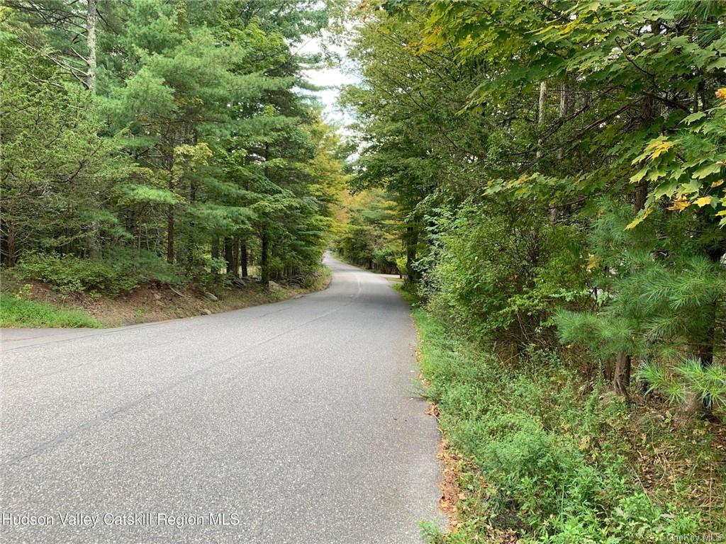 Tbd Cooper Lake Road, Bearsville, New York image 6