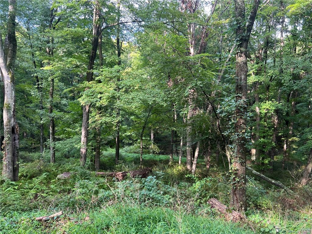 319 Pound Ridge Road, Bedford, New York image 12