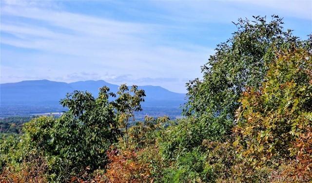 Call Listing Agent, New York 12523, United States, ,Land,Active,81554