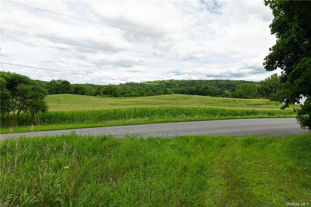 Yonderview Road, Hillsdale, New York image 1