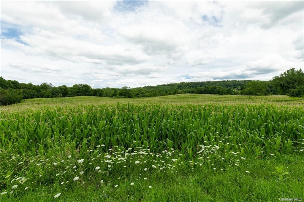 Yonderview Road, Hillsdale, New York image 2