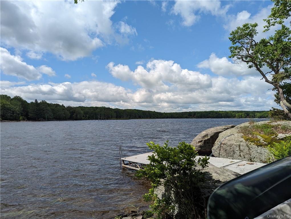 Canal Road, Wurtsboro, New York image 1