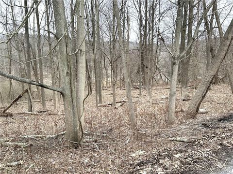Vacant Land For Sale - Stoneleigh Avenue<br/> Carmel, NY 10512