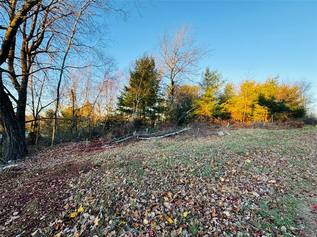 High View Terrace, Monticello, New York image 2