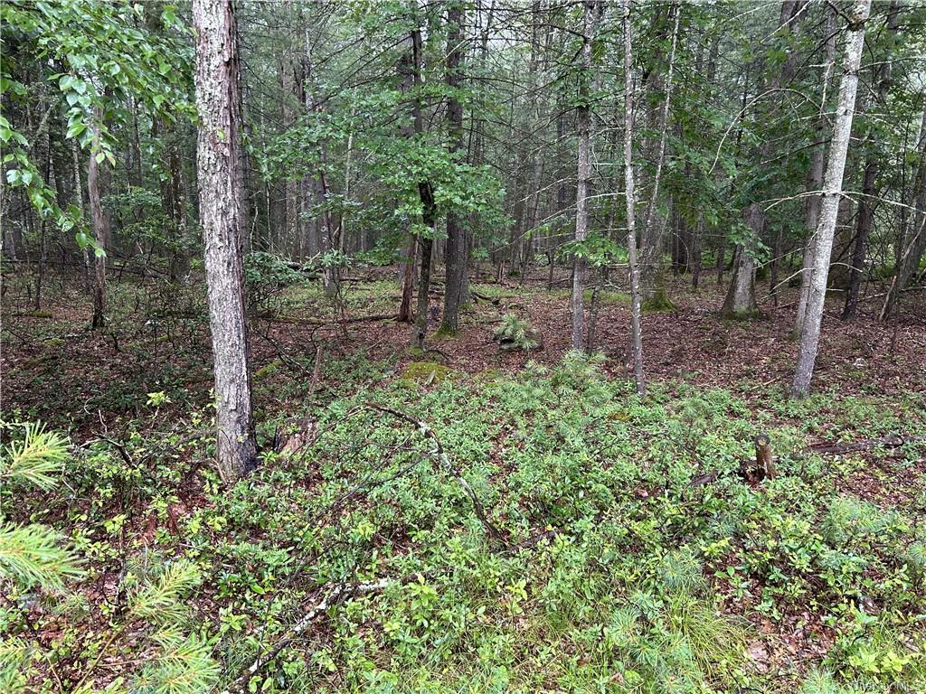 Lot 62.2 Lake View Drive, Highland Lake, New York image 2