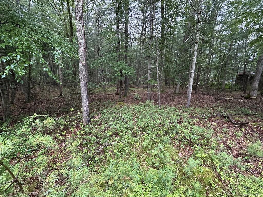 Lot 62.2 Lake View Drive, Highland Lake, New York image 3