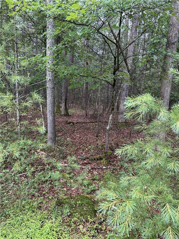 Lot 62.2 Lake View Drive, Highland Lake, New York image 4