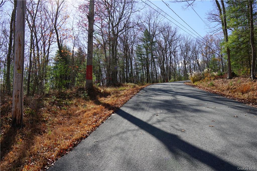 Caskey Road, Glen Spey, New York image 1