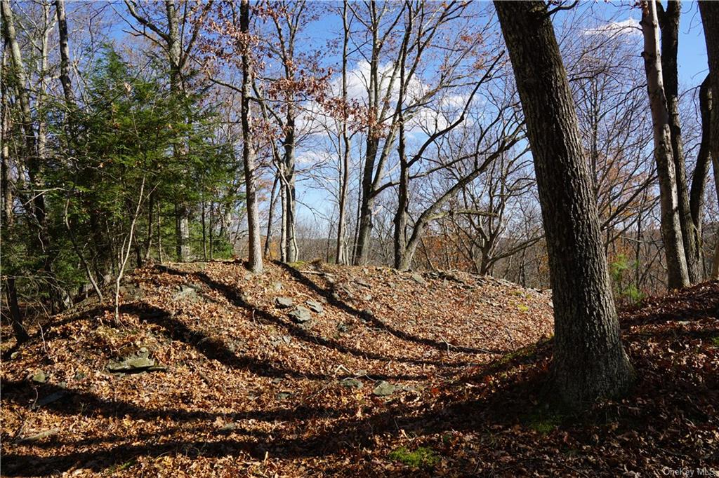 Caskey Road, Glen Spey, New York image 19