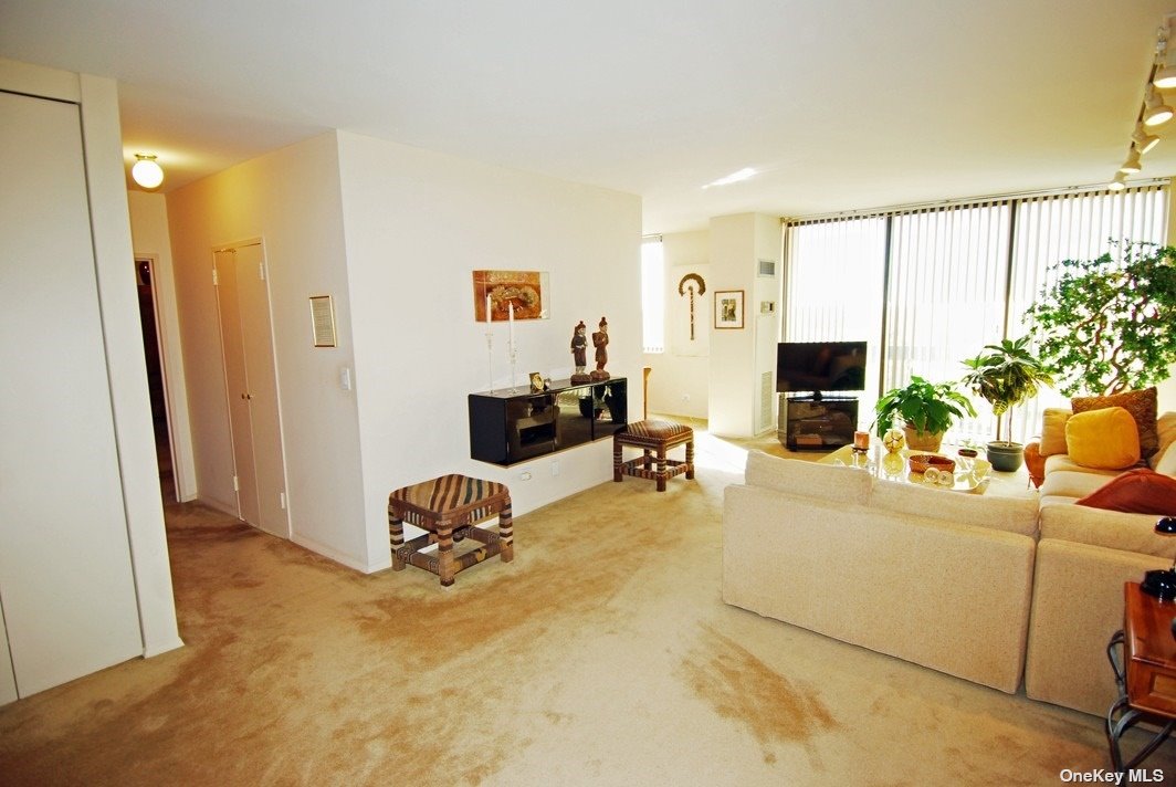 26910 Grand Central Parkway #11B, Floral Park, New York image 2