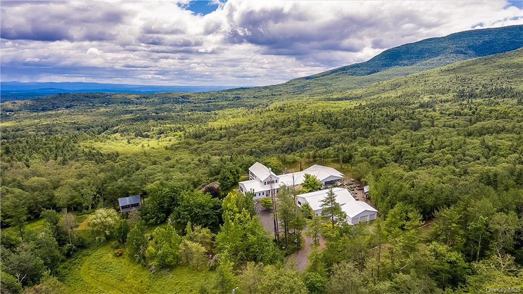 Property for Sale at 278 Crows Nest Road, Cairo, New York - Bedrooms: 4 
Bathrooms: 7 
Rooms: 14  - $2,250,000