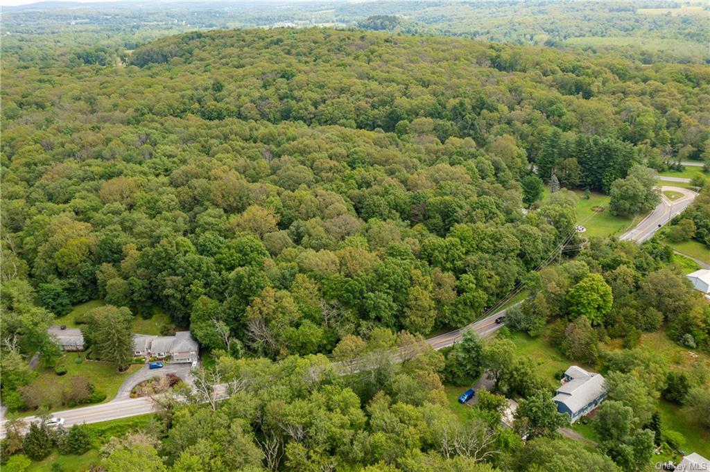 Arthursburg Road, Lagrangeville, New York image 8