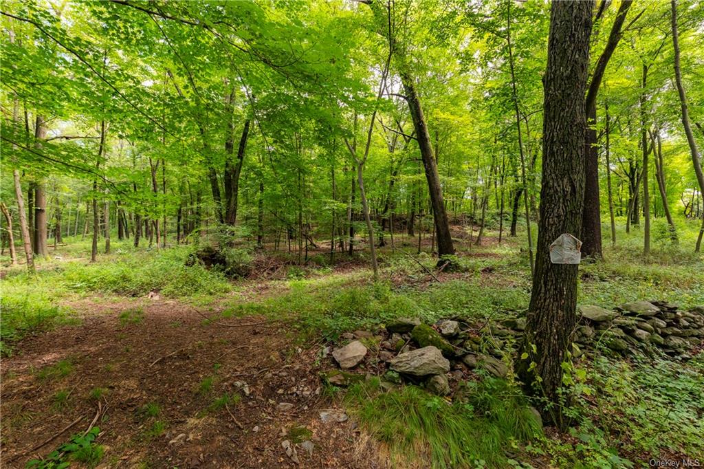 Arthursburg Road, Lagrangeville, New York image 1