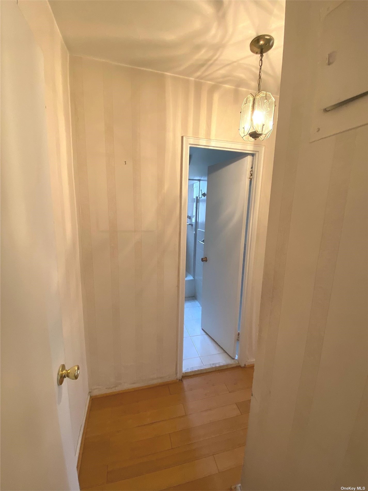 8111 45th Avenue #2C, Elmhurst, New York image 5