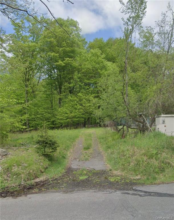 Mongaup Road, Monticello, New York image 1