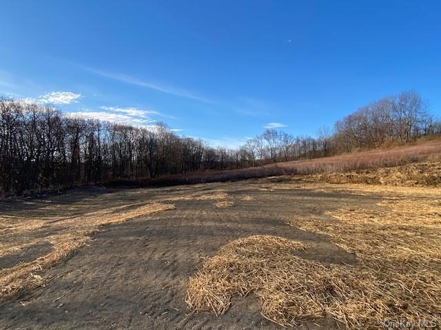 Lot #3 Mountain Road, Port Jervis, New York image 6