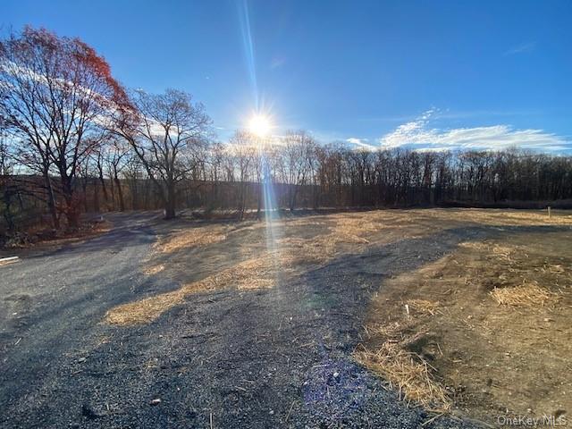 Lot #3 Mountain Road, Port Jervis, New York image 5