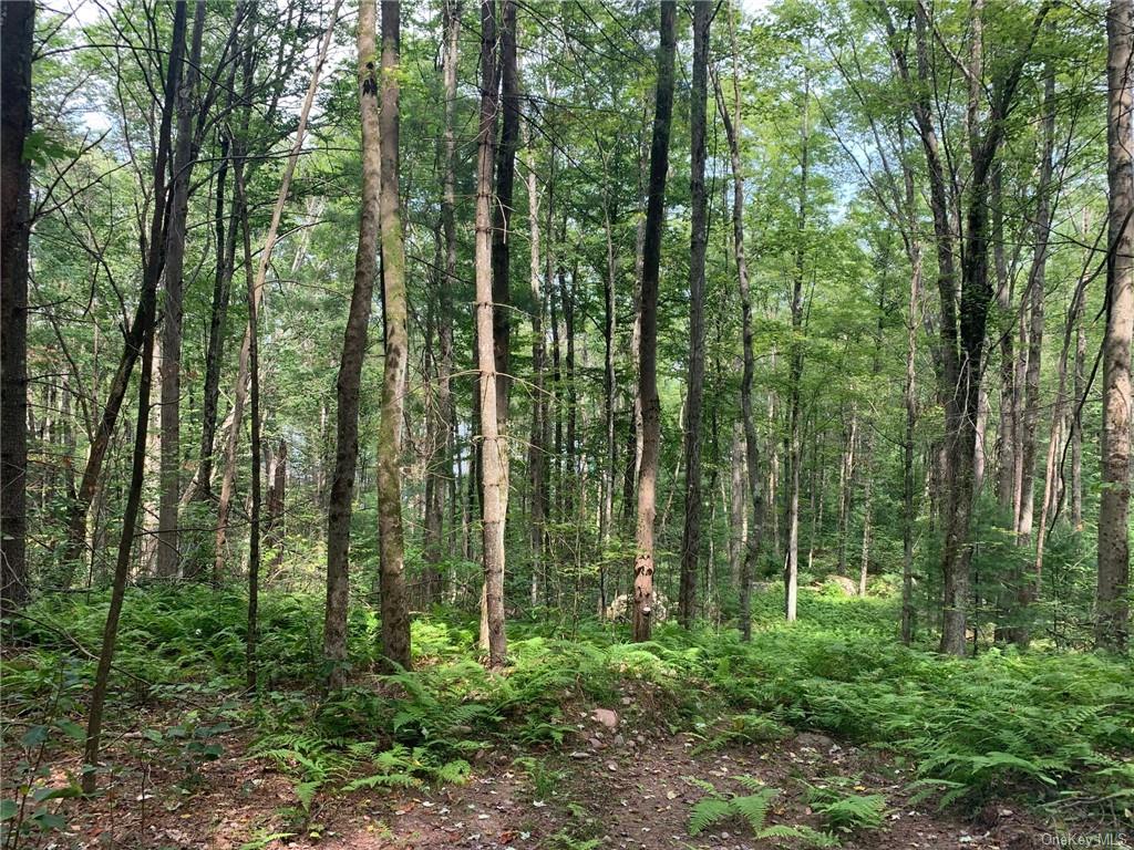 Lot 42 Kenoza Trail, Kenoza Lake, New York image 5