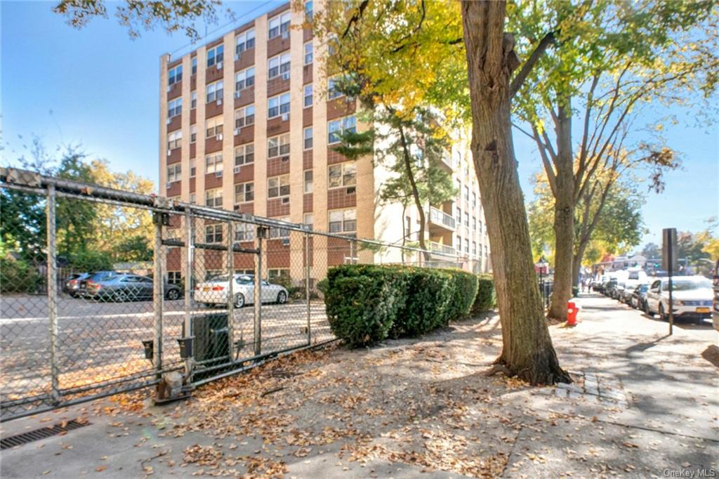 11 Park Avenue #1D, Mount Vernon, New York image 15