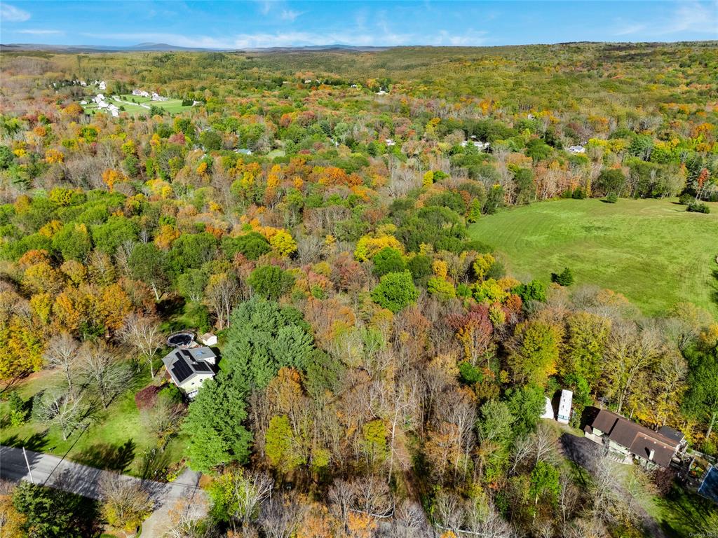 133 Drake Road, Pleasant Valley, New York -  - 