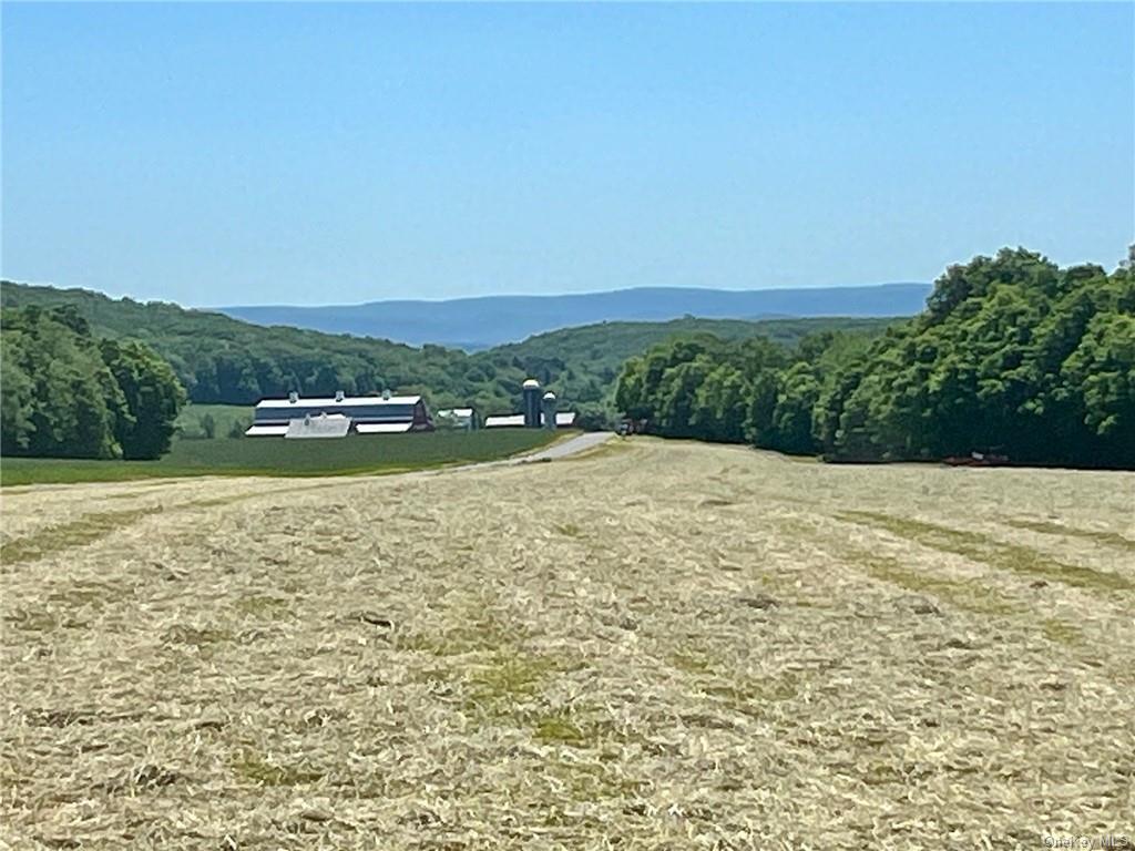 Silver Mountain Road, Millerton, New York image 6