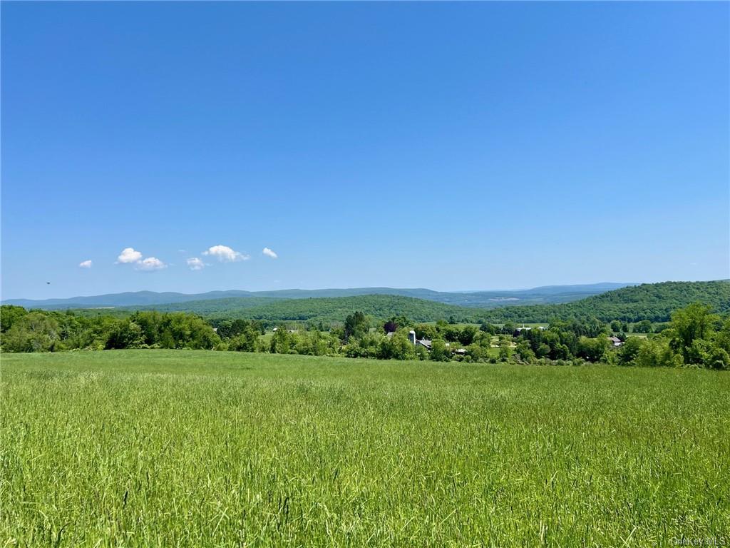 Silver Mountain Road, Millerton, New York image 16