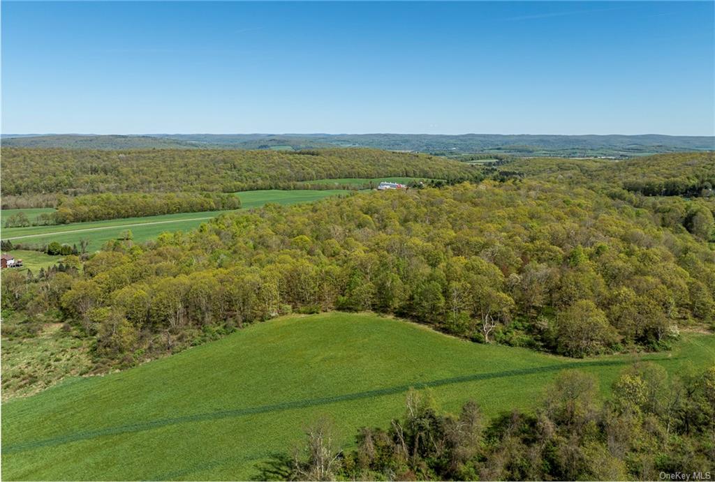 Silver Mountain Road, Millerton, New York image 4