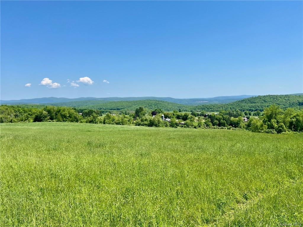 Silver Mountain Road, Millerton, New York image 9