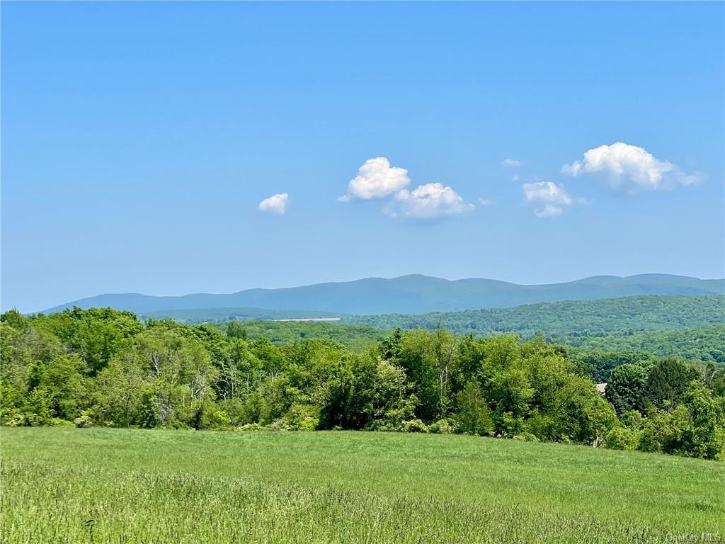 Silver Mountain Road, Millerton, New York image 17