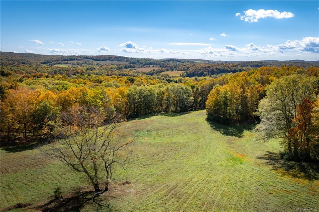 Hunns Lake, Stanfordville, New York image 18