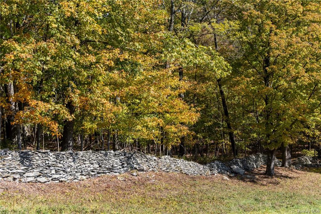 Hunns Lake, Stanfordville, New York image 16