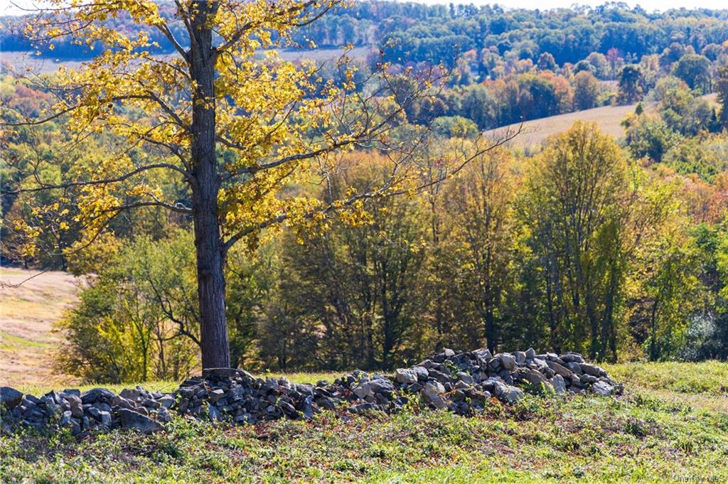 Hunns Lake, Stanfordville, New York image 13