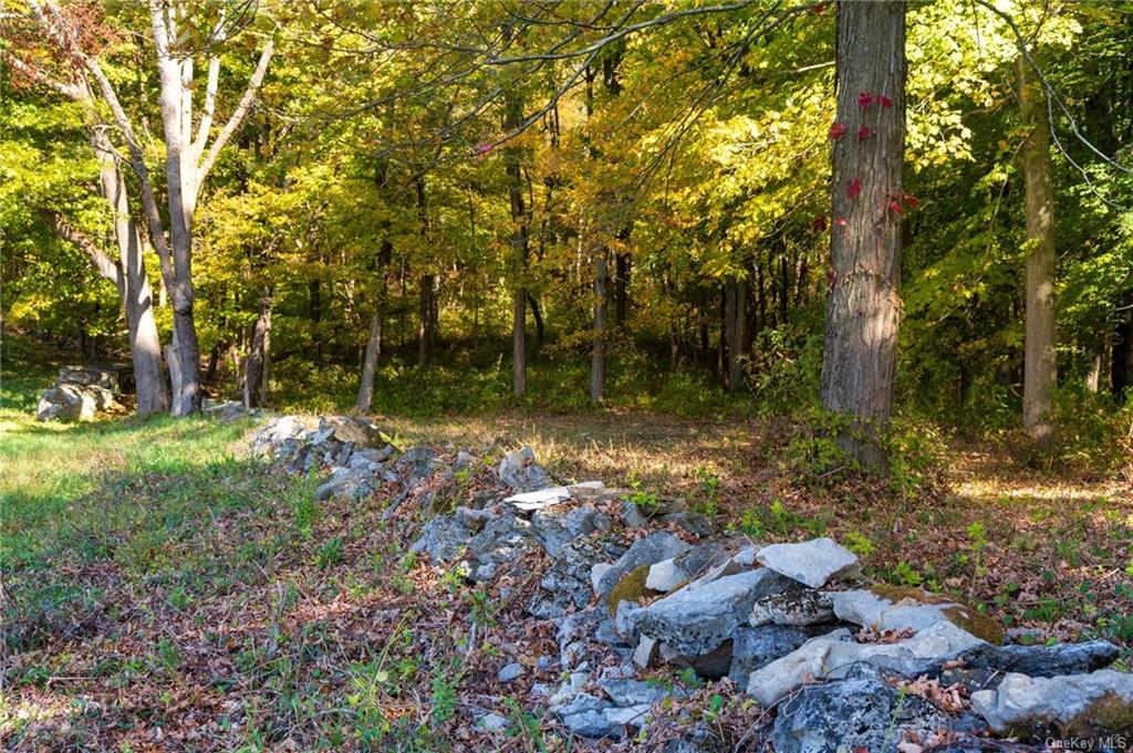 Hunns Lake, Stanfordville, New York image 11