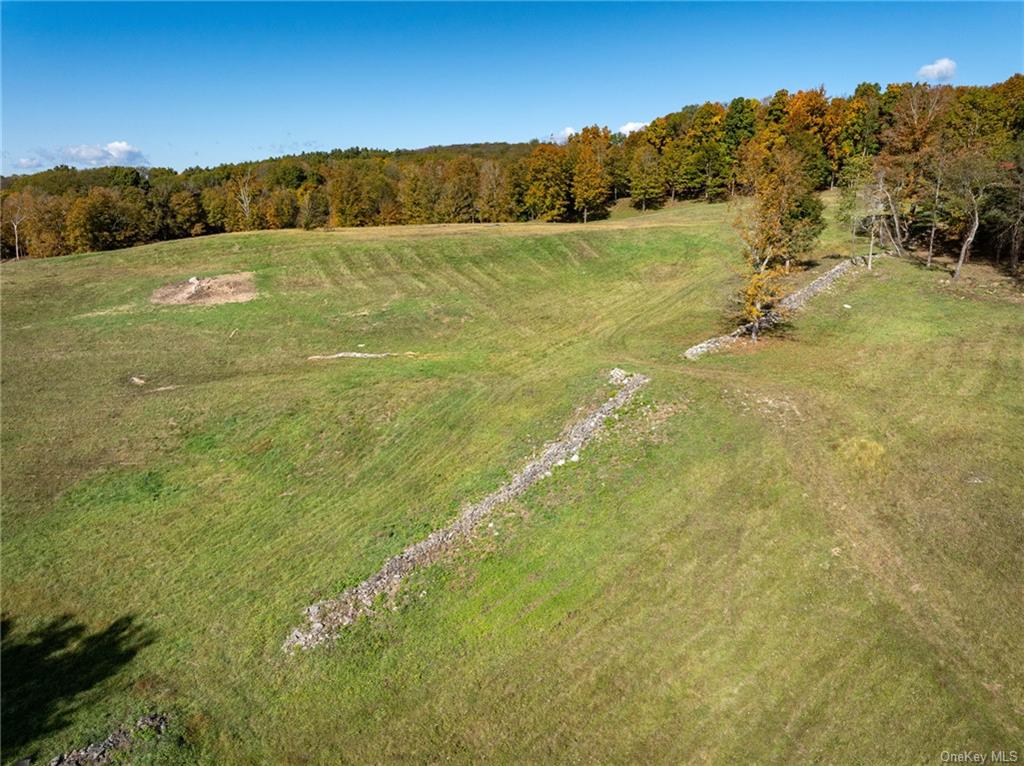 Hunns Lake, Stanfordville, New York image 14