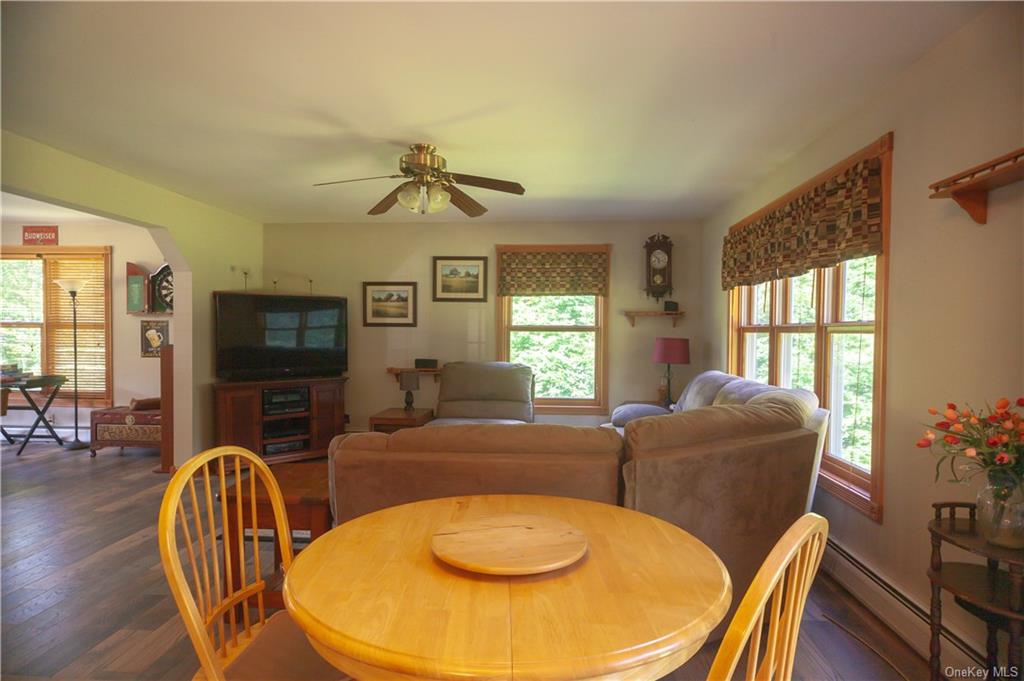 114 Turkey Hollow Lane, Livingston Manor, New York image 10