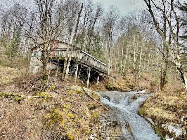 5925 Holiday & Berry Brook, Call Listing Agent, New York image 2