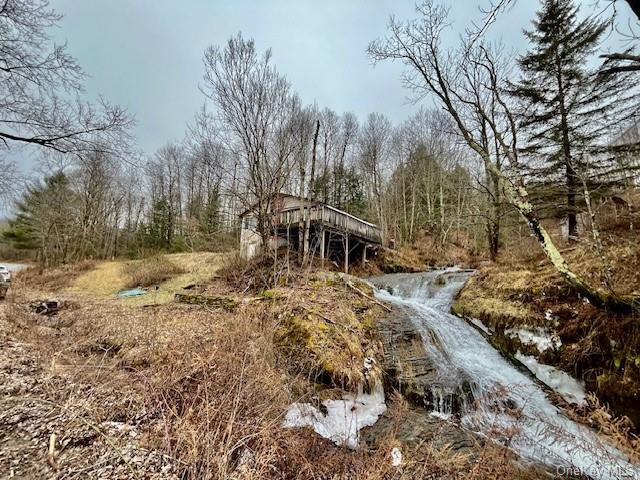 5925 Holiday & Berry Brook, Call Listing Agent, New York image 1