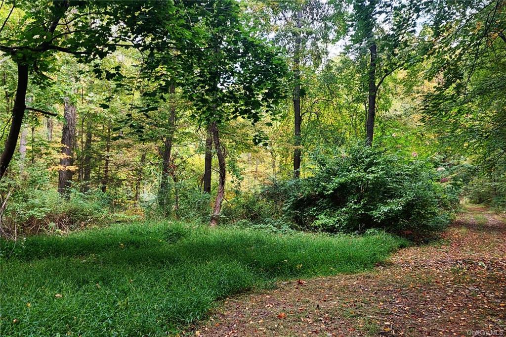 Clubhouse Road, Tuxedo Park, New York image 1