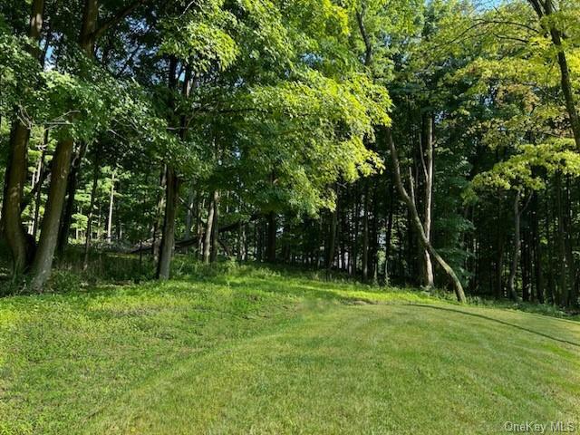 351 Mt Holly Road, Katonah, New York image 33