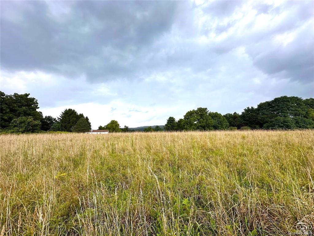 Beilke Road, Millerton, New York image 4