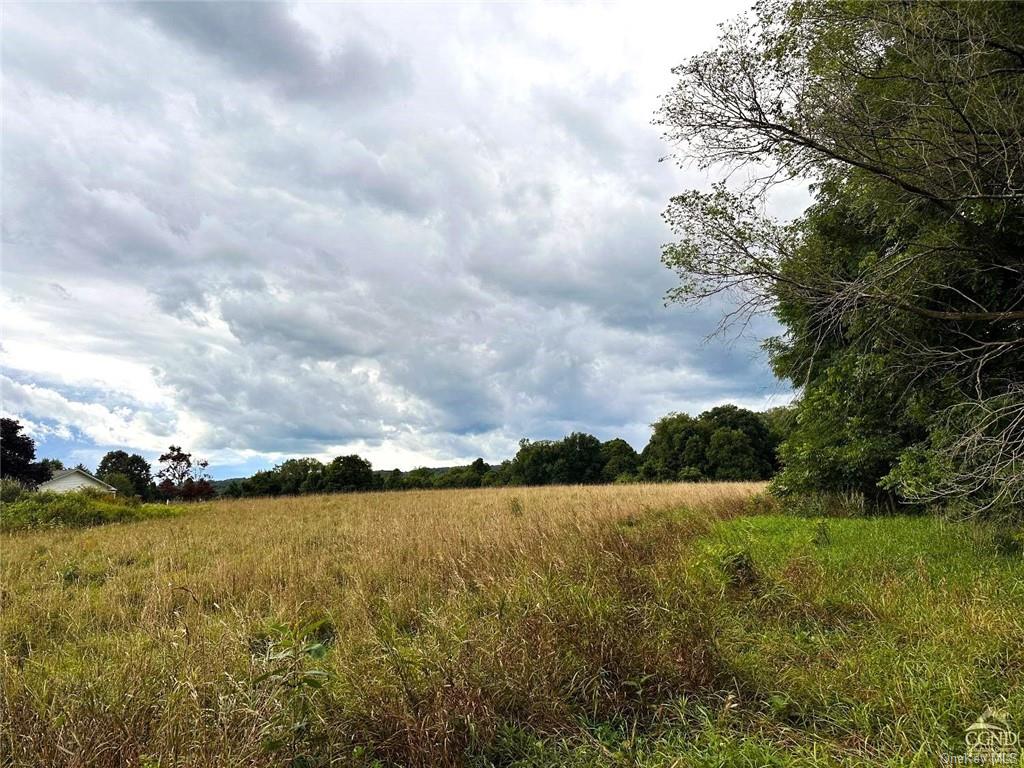 Beilke Road, Millerton, New York image 3