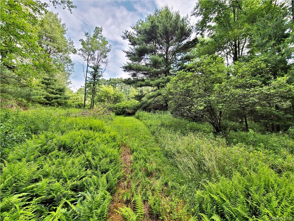 TBD Mitchell Road, White Lake, New York image 8