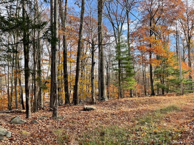 Lake Joseph Drive, Forestburgh, New York image 3